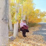تصویر کاربر با کد 333761