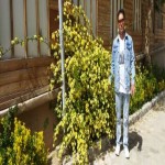 تصویر کاربر با کد 434331