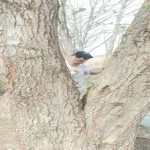 تصویر کاربر با کد 1292455