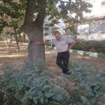 تصویر کاربر با کد 539794