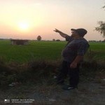 تصویر کاربر با کد 995294