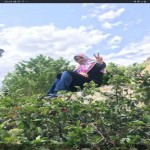 تصویر کاربر با کد 1296480