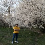 تصویر کاربر با کد 542520