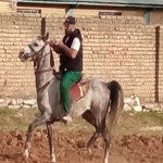 تصویر کاربر با کد 1316142