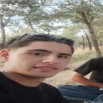 تصویر پروفایل فریبرز