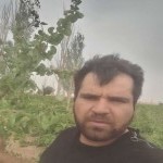 تصویر پروفایل حمید