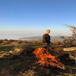 تصویر پروفایل بابک نوراشرف