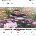 تصویر پروفایل حامد