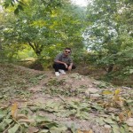 تصویر پروفایل امیر